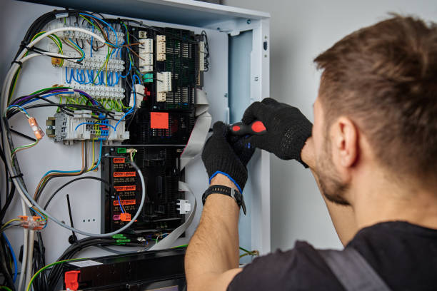 Licensed Electrical Panel Upgrade service in Genoa, IL - No Joke electrician